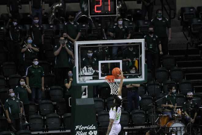 South Florida, USF, Bulls