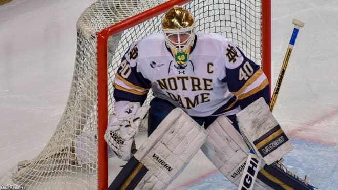 Junior Cal Petersen has been a rock-like figure for Notre Dame at goalie.
