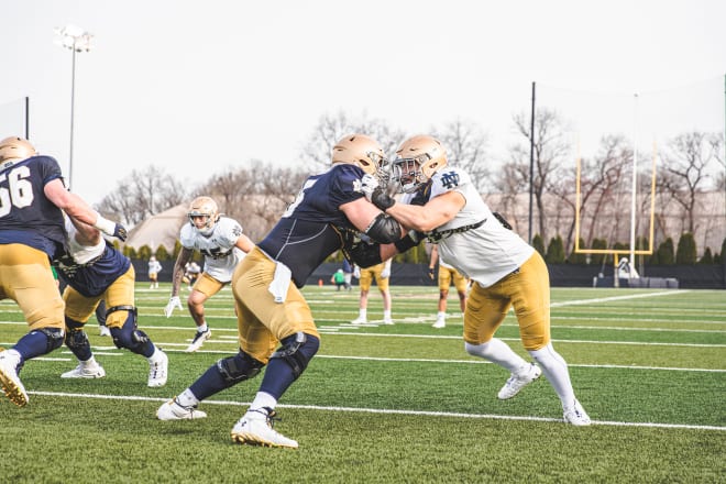 Notre Dame Fighting Irish football sophomore defensive end Jordan Botelho