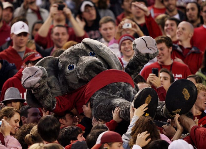 Alabama Crimson Tide Mascot Big Al Celebrating His 40th Anniversary