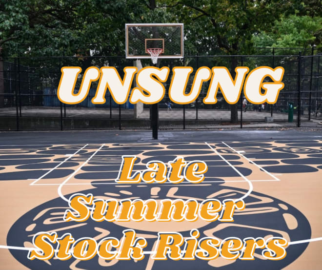 Unsung Late Summer Stock Risers