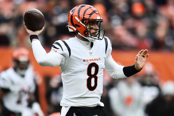 Former Arkansas quarterback Brandon Allen is now the Bengals' backup quarterback.