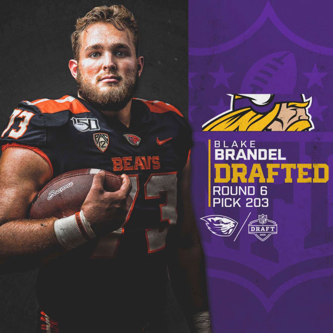 2020 NFL Draft Results: Minnesota Vikings select Blake Brandel