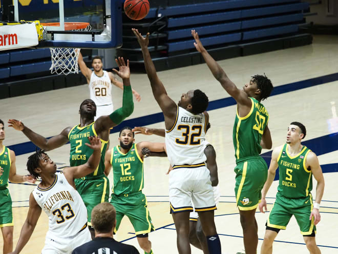 Cal freshman Jalen Celestine attempts a shot inside. He finished with 5 points and 4 rebounds. 