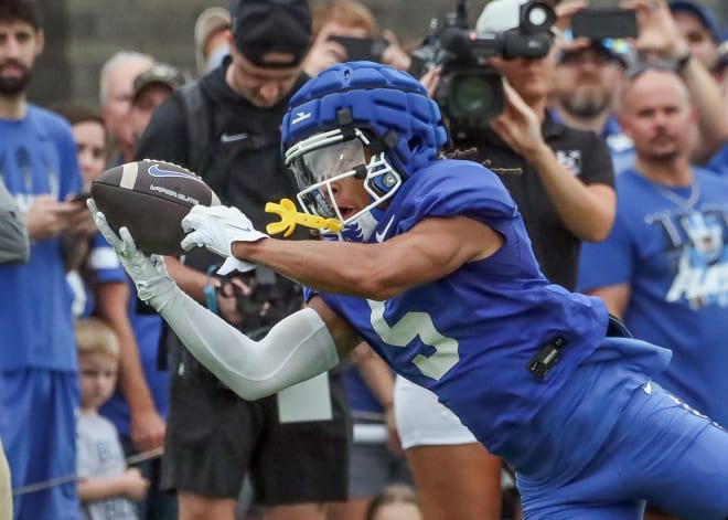 Anthony Brown-Stephens hauled in a catch during the Cats' "Fan Day" open practice earlier this month.