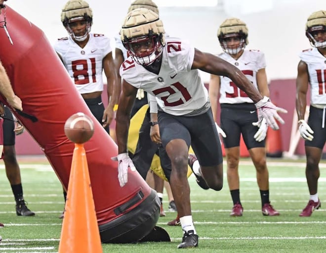 Redshirt freshman wide receiver Darion Williamson has been one of FSU football coach Mike Norvell's early 'stars' this preseason.