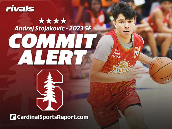 4-star F Andrej Stojakovic releases top 4 schools - Burnt Orange Nation