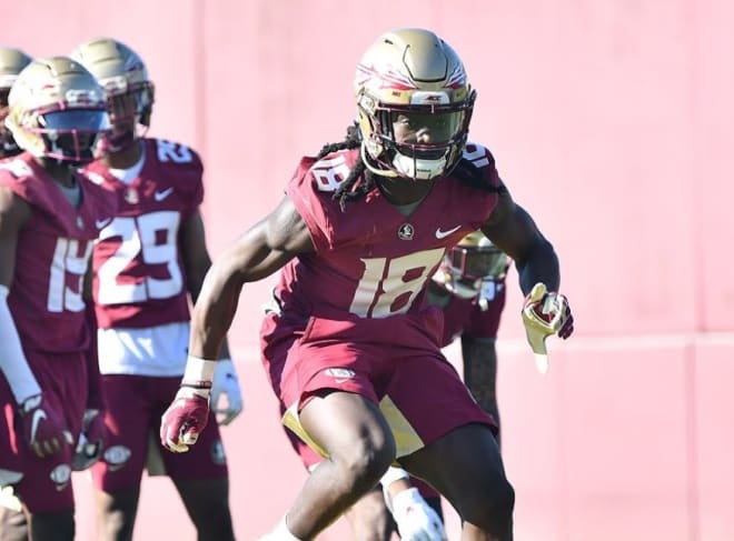 Redshirt freshman Travis Jay is showing star potential at free safety for FSU football.
