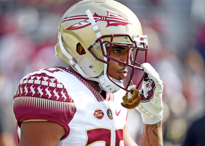 Florida State Seminoles defensive back Jaiden Woodbey (20) before the start of the Garnet and Gold Spring Game at Doak Campbell Stadium. Photo Credit: Melina Myers-USA TODAY Sports