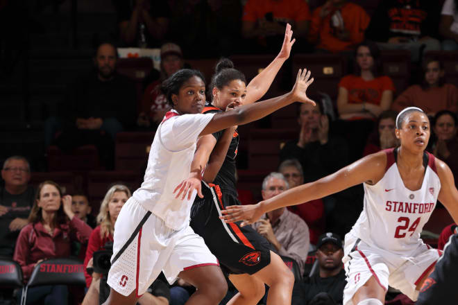 Nadia Fingall, left, is one of the players looking to fill the role of departed senior Erica McCall (No. 24).