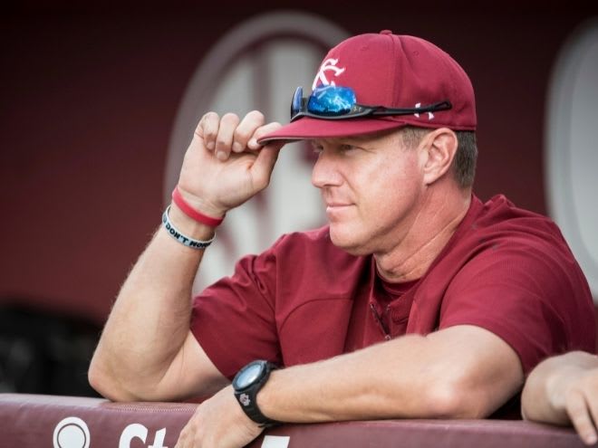 Gamecocks Announce Matt Williams as Pitching Coach