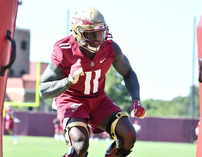 Junior Janarius Robinson is the Florida State football team's most experienced defensive end.