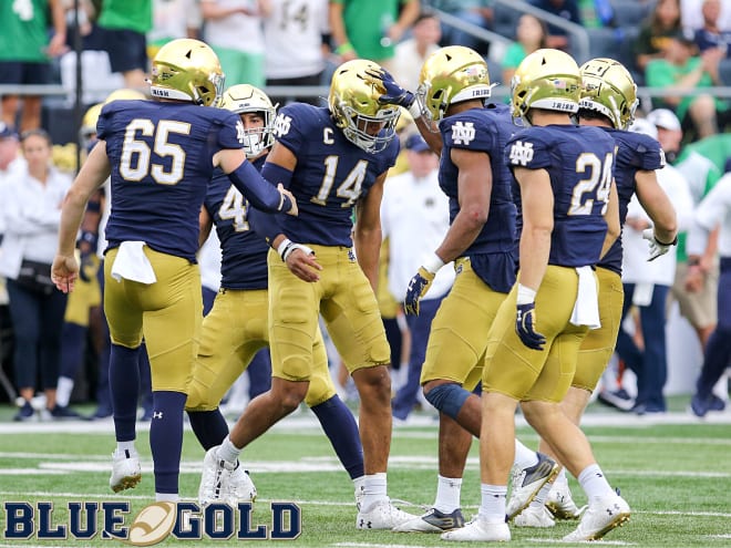 Notre Dame Fighting Irish football junior safety Kyle Hamilton