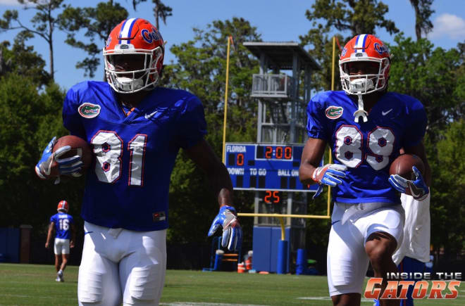 Wide receivers Antonio Callaway (81) and Tyrie Cleveland (89)