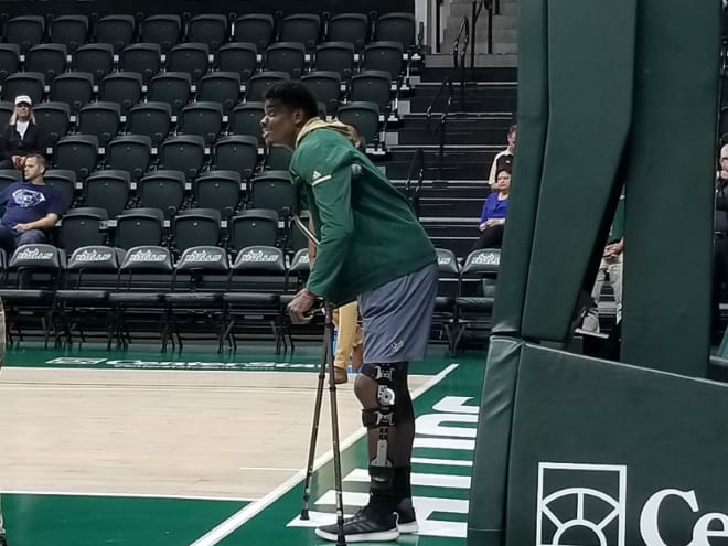 USF Bulls forward Alexis Yetna watches his teammes warm up before the Wofford game in the Yuengling Center.