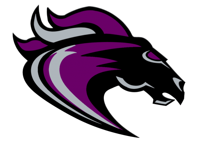 Ridge View football scores and schedule