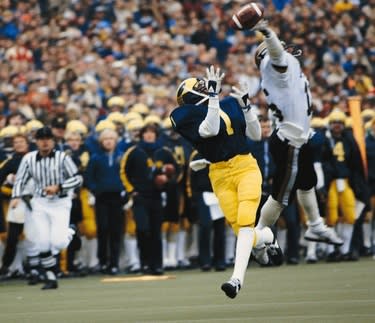 Anthony Carter - Michigan Sports Hall of Fame