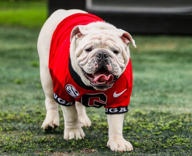 Boom! There's a new Uga - UGASports: Georgia Bulldogs Football ...