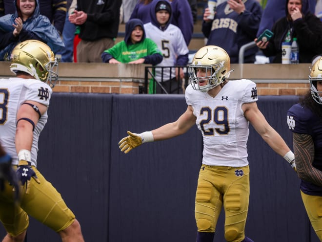 Notre Dame wide receiver Matt Salerno (29) suffered a lower leg injury against Tennessee State.