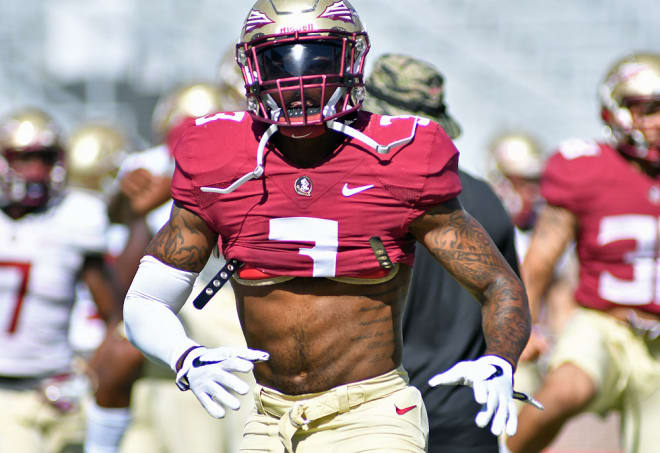 Florida State coach Jimbo Fisher and his staff are expected to use Derwin James in a variety of ways in 2017.