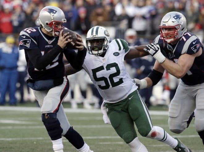 Former Michigan Wolverines football linebacker David Harris chases former Wolverine Tom Brady.