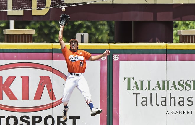 Burgreen takes away a home run with a leaping catch in the Tallahassee Regional.