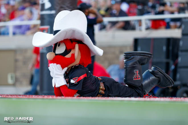 Texas Tech Raider Red