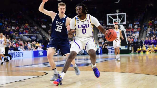 lsu basketball shoes