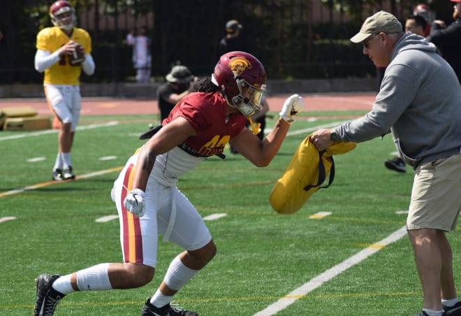 Junior tight end Josh Falo could be in for a breakout season in USC's new offense.