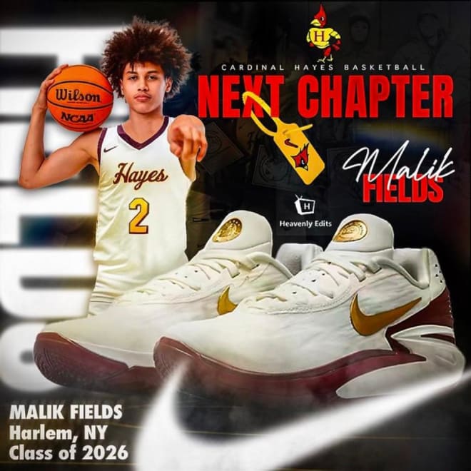 Jaxson Hayes Basketball Shoes in 2023