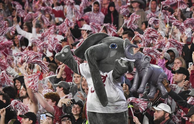 Alabama Crimson Tide mascot Big Al stands in the student section and cheers during a game against the Auburn Tigers at Bryant-Denny Stadium. Alabama won 49-27. Photo | Gary Cosby Jr.-USA TODAY Sports