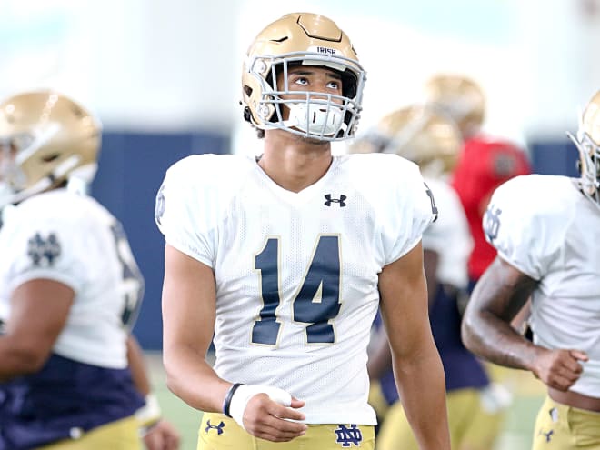 Notre Dame Fighting Irish football junior safety Kyle Hamilton