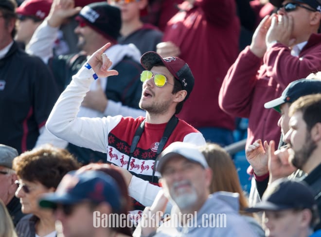 A South Carolina Gamecocks fan during the Belk Bowl