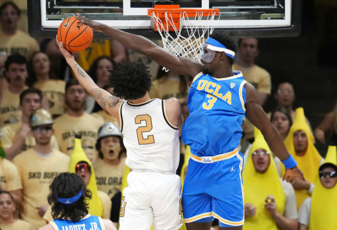 Ucla bruins best sale basketball roster