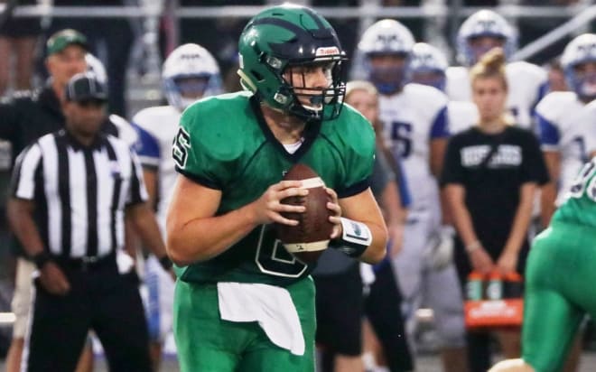Graham Walker has thrown for 19 touchdowns and run for another 13 for Woodgrove this year