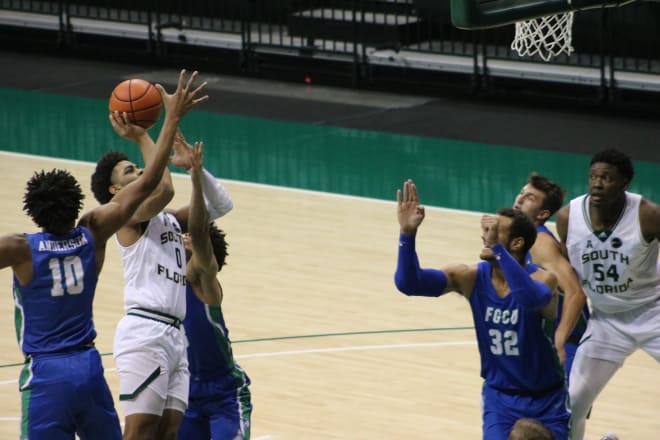 USF Bulls Basketball South Florida