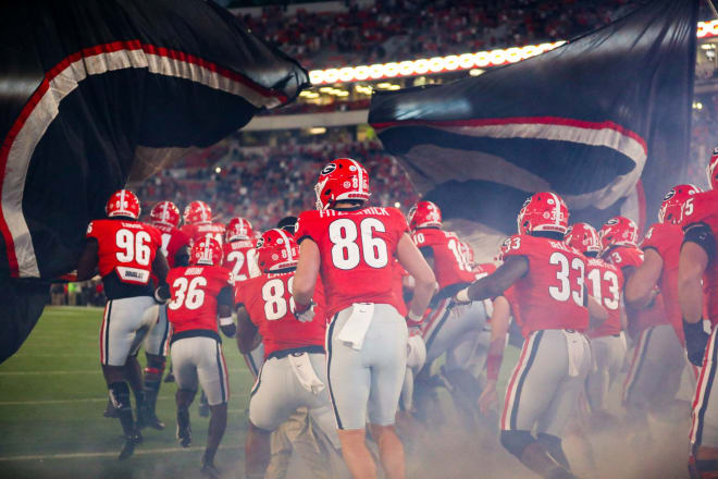 PFF Report Card: UGA vs Auburn - UGASports