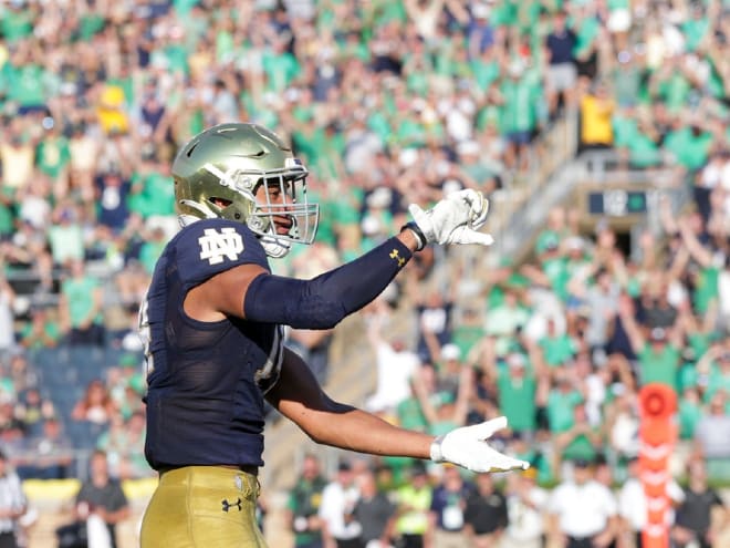 Notre Dame safety Kyle Hamilton thinks he's the best player in NFL Draft -  InsideNDSports