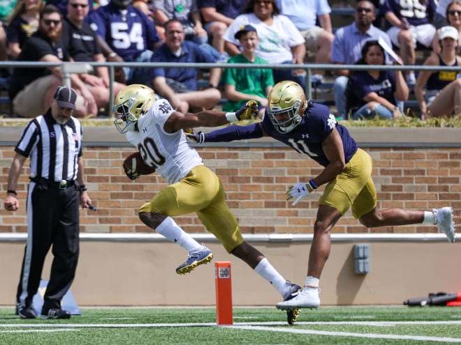 Notre Dame running back Jadarian Price crosses the goal line ahead of safety Ramon Henderson in April's Blue-Gold Game.