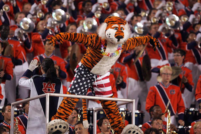 Aubie performs in front of the band.