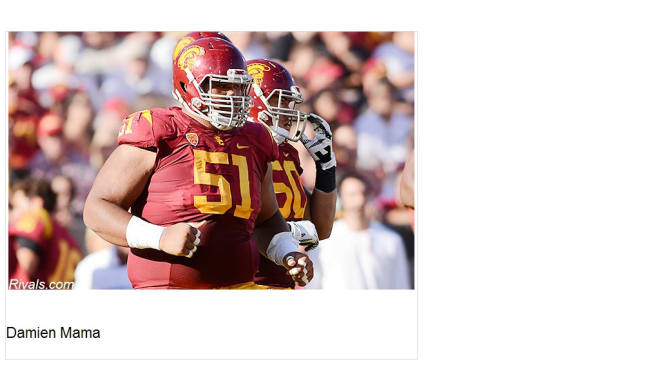 USC Football Fight On Men Of Troy Cardinal and Gold Rey Maualuga