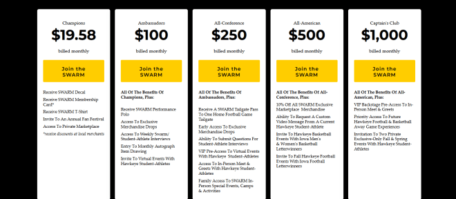 This is the monthly giving options for The Swarm Collective. 