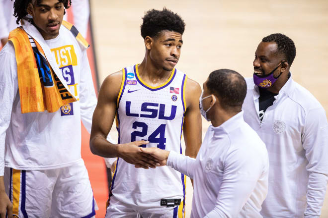 LSU basketball