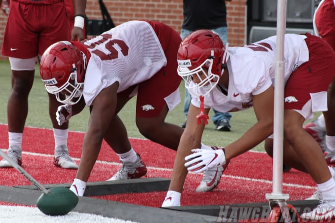 Eric Gregory (50) will be a redshirt freshman for the Razorbacks in 2020.