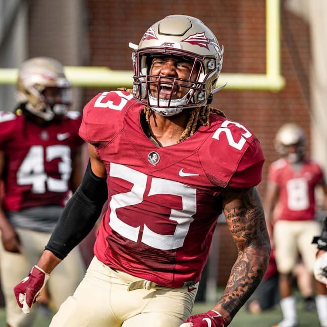 Florida State freshman safety Sidney Williams showed glimpses of his potential late in the 2020 season.