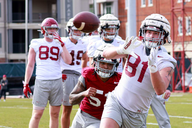 Alabama tight end C.J. Dippre (81) catches a ball during practice. Photo | Alabama Athletics 