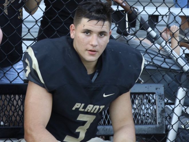 LB/RB Hayden Reed even looks good in the Black & Gold while at Plant High School