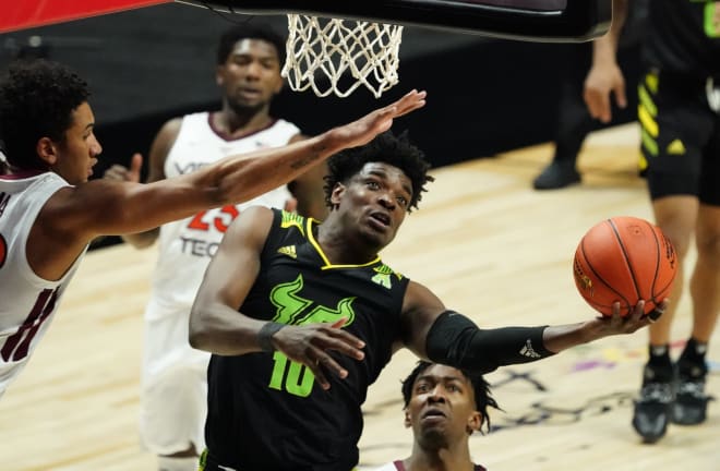 USF Bulls Basketball South Florida