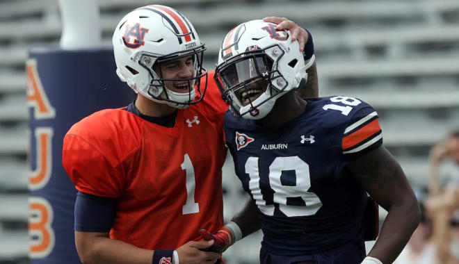 Joey Gatewood (1) celebrates a touchdown with Seth Williams (18) at Auburn's 2019 A-Day scrimmage.