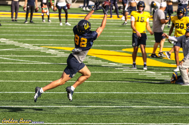 Receiver Cole Boscia hauls in a pass during a drill Wednesday on Day 13 of spring ball for the Bears.